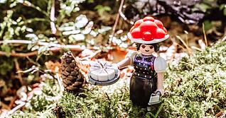 Ein Ehemann f&uuml;r die &laquo;Schwarzwald Marie&raquo; ist gefunden. (Archivbild)