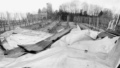 Eine beängstigende Szene: In Beilstein riss das Orkantief an Weihnachten 1999 etwa die Hälfte des Blechdachs vom Langhansturm und schleuderte es in die nahen Weinberge. Verletzt wurde zum Glück niemand.Foto: Archiv/Kuhnle Eine beängstigende Szene: In Beilstein riss das Orkantief an Weihnachten 1999 etwa die Hälfte des Blechdachs vom Langhansturm und schleuderte es in die nahen Weinberge. Verletzt wurde zum Glück niemand.Foto: Archiv/Kuhnle