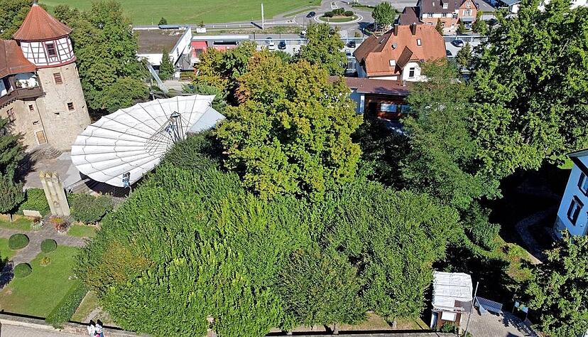 Die Lindenanlage in Neuenstadt zeigt das Ausmaß des 1000 Jahre alten Baums.
Foto: Ralf Seidel Die Lindenanlage in Neuenstadt zeigt das Ausmaß des 1000 Jahre alten Baums.
Foto: Ralf Seidel