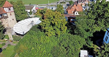 Die Lindenanlage in Neuenstadt zeigt das Ausmaß des 1000 Jahre alten Baums.  
Foto: Ralf Seidel