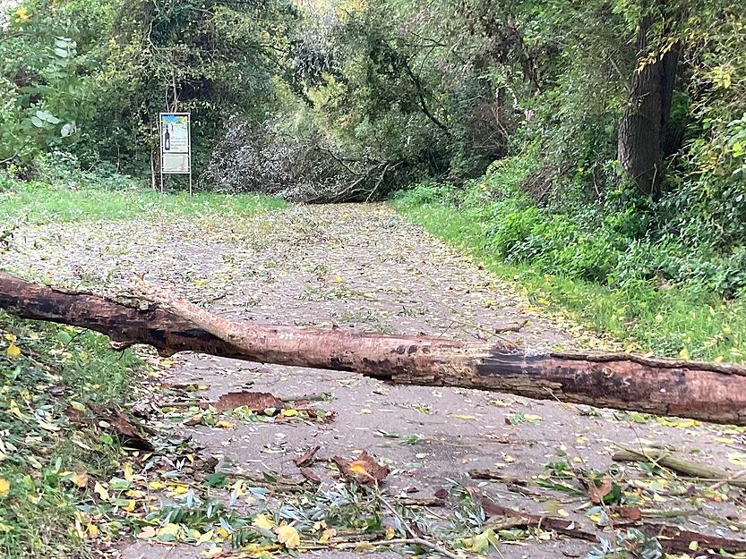 Ex-Hurrikan "Kirk" wütete auch auf dem Neckartalradweg bei Kirchheim. Ex-Hurrikan "Kirk" wütete auch auf dem Neckartalradweg bei Kirchheim.