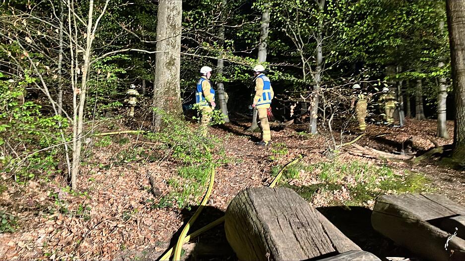 Im Bereich des J&auml;gerhaus-Parkplatzes war ein Fl&auml;chenbrand gemeldet worden.