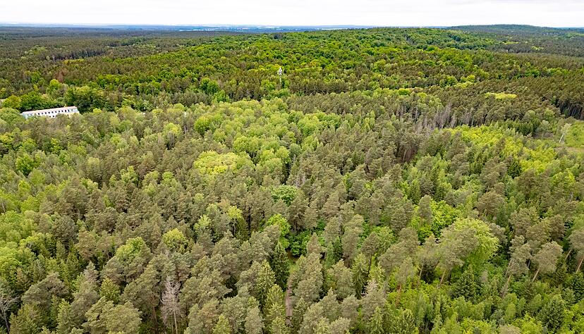 Tod einer 21-Jährigen im Wald - Ermittlungen gegen Jugendlichen wegen Totschlags Tod einer 21-Jährigen im Wald - Ermittlungen gegen Jugendlichen wegen Totschlags