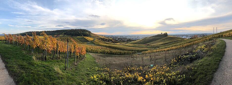 Dieses Panorama hat Susanne Kahlenbach aus Heilbronn am Sonntagnachmittag auf dem Stiftsberg gemacht, als sie mit ihrem Mann oberhalb der WG Heilbronn spazieren war. "Es war ein wunderschöner Spaziergang in diesem bunten Herbstzauber", schreibt sie uns. Perfektes Wetter für eine der wahrscheinlich letzten Cabrio-Touren in der Region. Danke für das Foto!