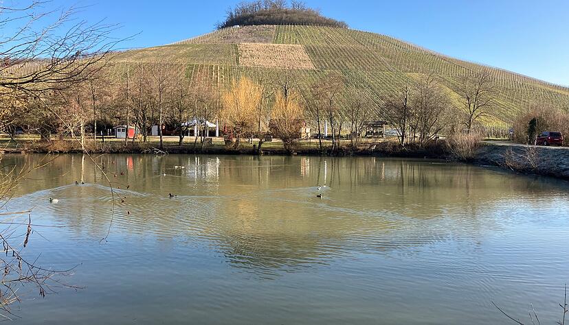 Der Mönchssee unterhalb des Hörnles in Brackenheim-Dürrenzimmern bietet sich als Start für einen Spaziergang durch die Weinberge der Region an.