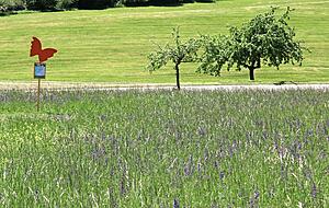 Sattgrüne Wiesen, soweit das Auge reicht: mal violett, mal gelb verfärbt, mit Schmetterlingen als Wegbegleiter.