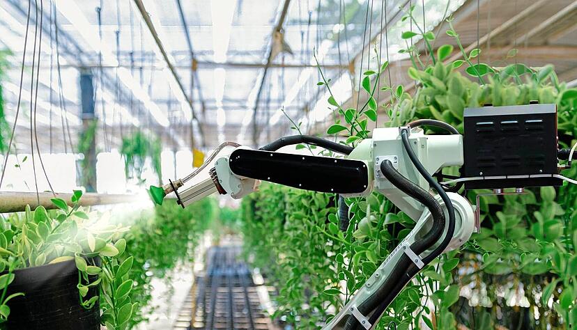 Kameras k&ouml;nnen zur Steuerung von Robotern oder auch f&uuml;r die Qualit&auml;tspr&uuml;fung eingesetzt werden. IDS ist damit im Pharma-, Lebensmittel- und Agrarbereich aktiv.