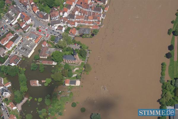 Hirschhorn bei Neckargm&uuml;nd