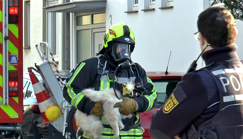 Der Feuerwehrmann hat die Katze fest im Griff