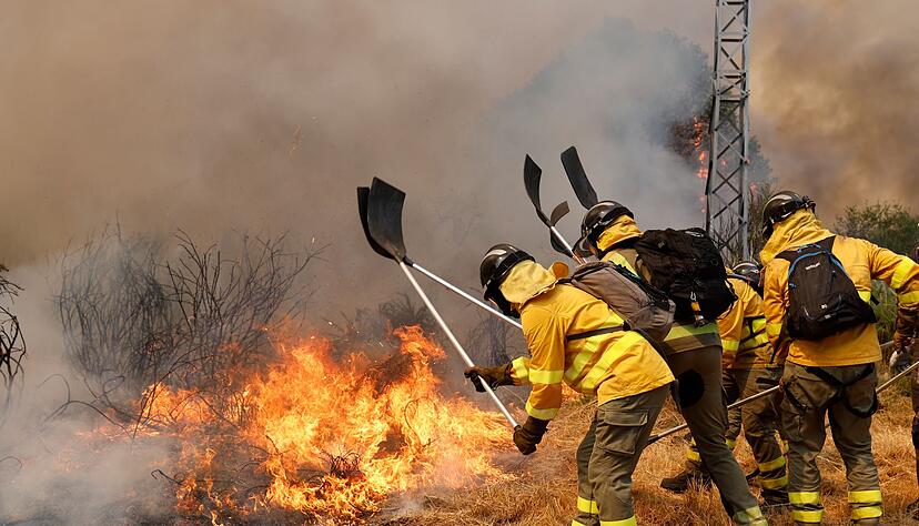 Seit fast zwei Wochen hält eine Waldbrand-Serie die Einsatzkräfte auf Trab. Seit fast zwei Wochen hält eine Waldbrand-Serie die Einsatzkräfte auf Trab.