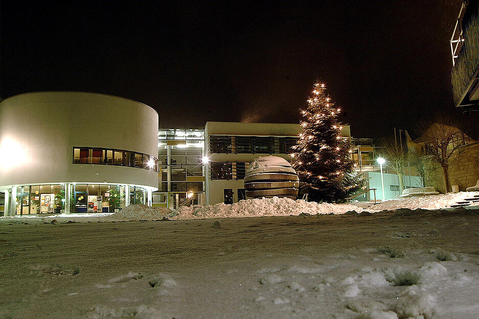 Das Jahr 2001 versetzte Bad Rappenau in winterliche Weihnachtsstimmung.