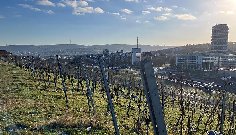 In der Senke liegt die Stuttgarter Stadtbahnhaltestelle Pragsattel, die laut einer Studie per Seilbahn an das Robert-Bosch-Krankenhaus angebunden werden k&ouml;nnte.