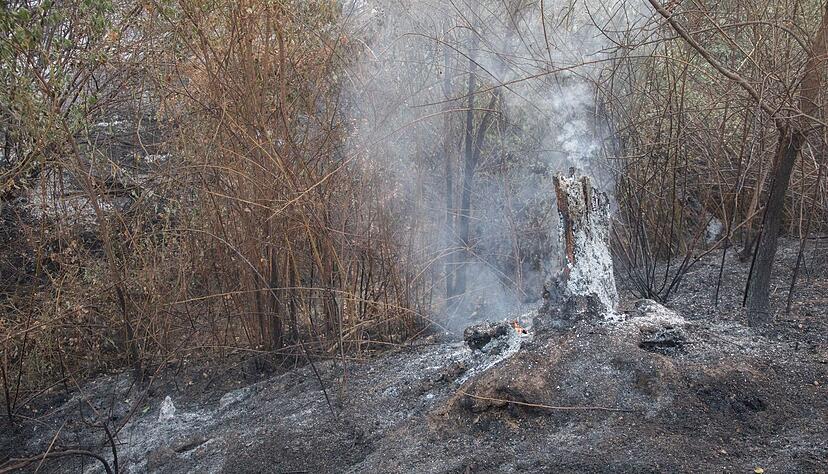 Bei dem Feuer in Tres Cantos kam ein Mann in den Flammen ums Leben.