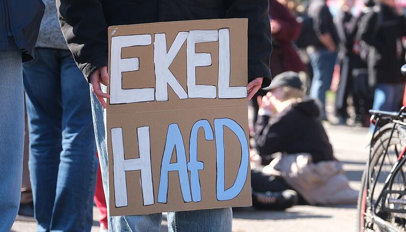 An f&uuml;nf angemeldeten Versammlungen haben laut Polizei mehrere Hundert Personen teilgenommen.