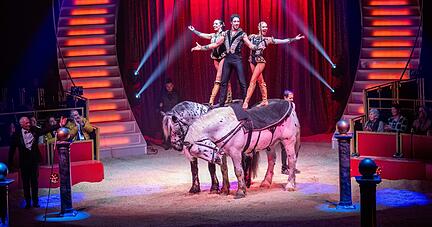 René Casselly trat mit seiner Schwester Merrylu (l.) und Partnerin Quincy Azario (r.) bei der Vorpremiere des Heilbronner Weihnachtszirkus auf.
Foto: Christiana Kunz