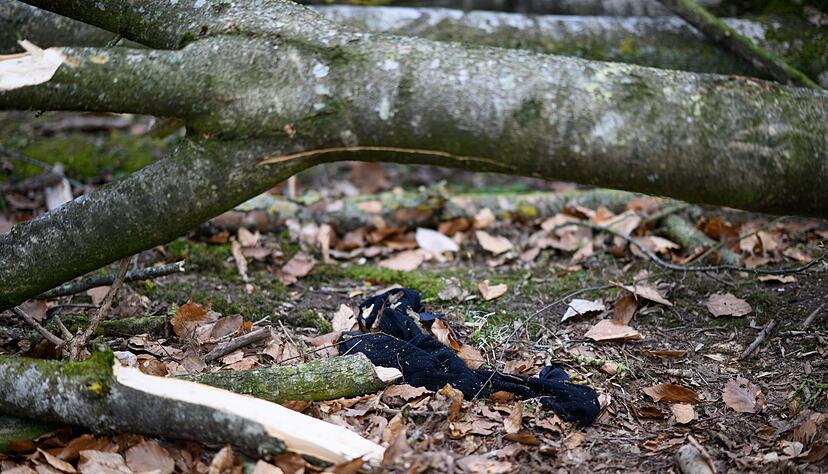 Blick auf den Unfallort.