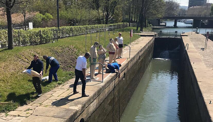 Suche nach Überresten einer Duscher-Skulptur am Neckar.
Foto: Kilian Krauth