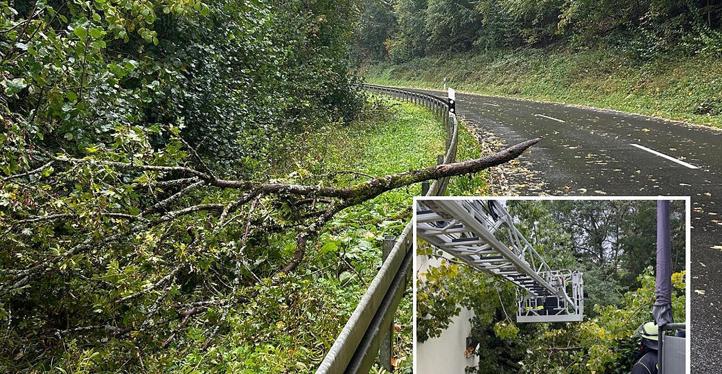 Nach stürmischem Oktober-Wetter waren die Feuerwehren im Raum Heilbronn vor allem wegen umgeknickter Bäume oder Äste gefordert.