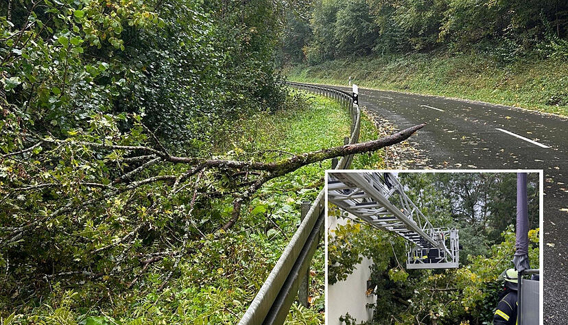 Nach stürmischem Oktober-Wetter waren die Feuerwehren im Raum Heilbronn vor allem wegen umgeknickter Bäume oder Äste gefordert.