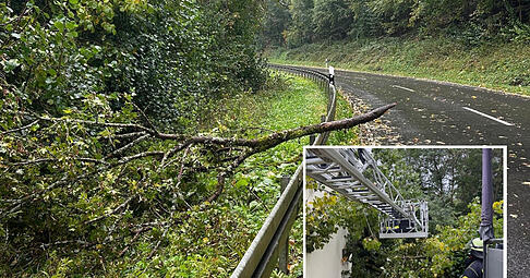 Nach stürmischem Oktober-Wetter waren die Feuerwehren im Raum Heilbronn vor allem wegen umgeknickter Bäume oder Äste gefordert.