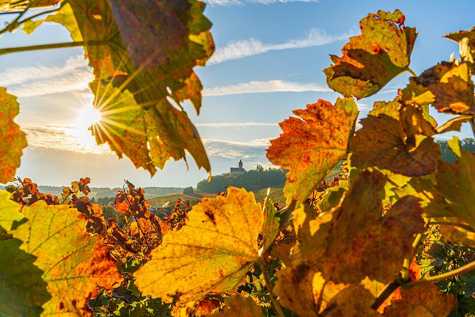 Matthias Pfeifer aus Brackenheim zeigt das Schloss Stockheim im herbstlichen Rahmen.