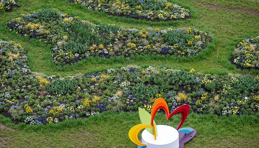 Zehntausende Blumenzwiebeln wurden gesetzt.