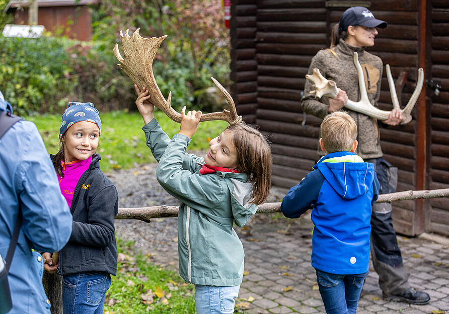 Besucher bei der Hirschbrunft im Wildparadies Tripsdrill.