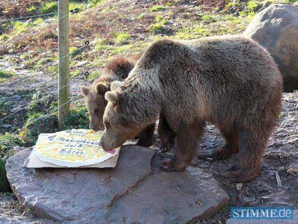 B&auml;rengeburtstag in Tripsdrill | 29.12.