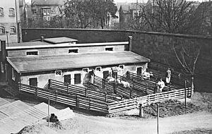 Ab dem Jahr 1921 entwickelte das Gefängnis zur Beschäftigung seiner Insassen eine Landwirtschaft samt einer Schweinezucht.
Foto: JVA Heilbronn