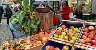 Bunt und wohlschmeckend, das sind die Dinge, die die Menschen beim Öhringer Herbstmarkt in der Marktstraße erwarten.