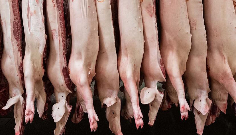 Geklagt hatte ein Unternehmen, dass sich auf die Zerlegung von Schweinek&ouml;pfen spezialisiert. (Archivbild)