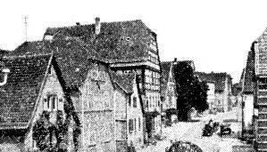 Der stolze Hengst gibt die Hoffnung nie auf