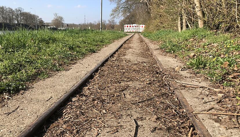 Zwischen den Schienen sammelt sich allerlei Geäst. Zwischen den Schienen sammelt sich allerlei Geäst.