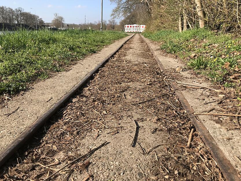 Zwischen den Schienen sammelt sich allerlei Geäst. Zwischen den Schienen sammelt sich allerlei Geäst.