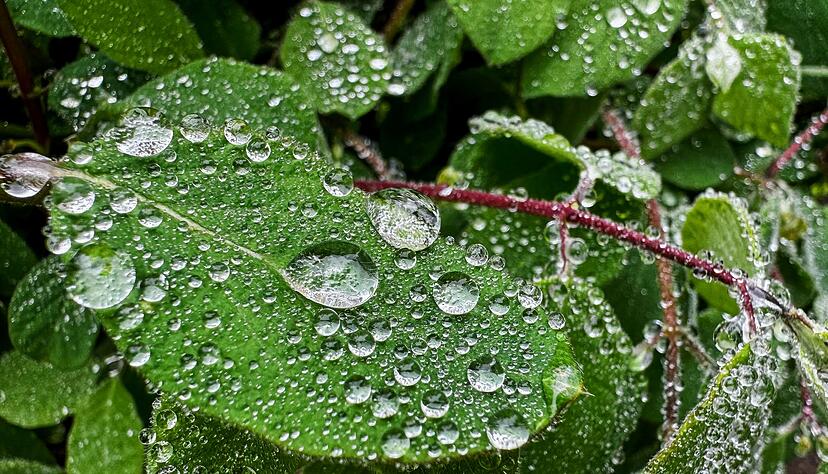 Am Wochenende sind auch Regenschauer m&ouml;glich. (Archivbild)
