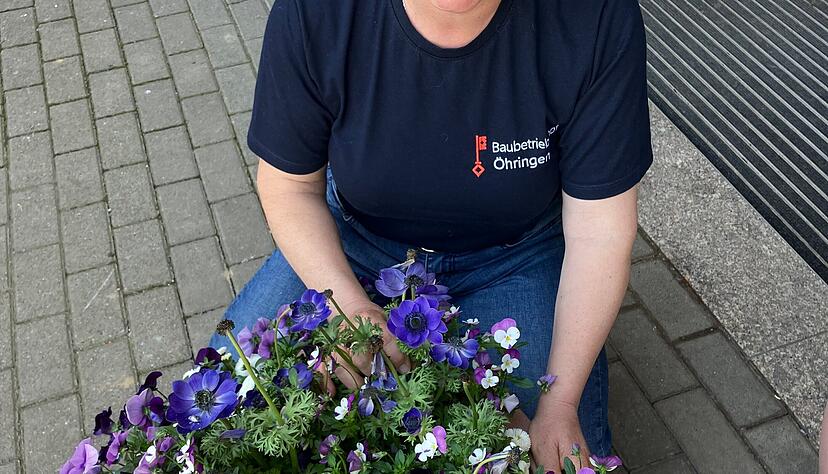 Stadtg&auml;rtnerin Sigrid Diem &uuml;berrascht mit ungew&ouml;hnlichen Kombinationen. Hier leuchten kornblaue Amenomen zwischen lilafarbenen Hornveilchen.