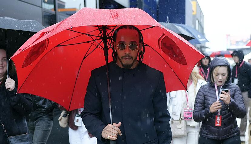 Lewis Hamilton nahm die Bulldogge öfter mal mit an die Rennstrecke. (Archivbild)