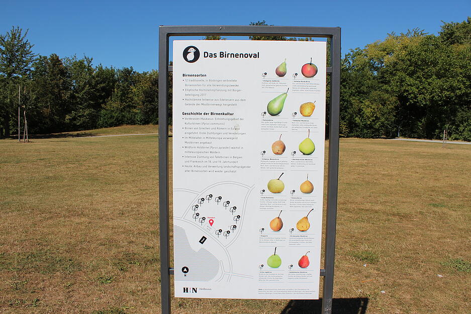 Lesersommer Mostbirnenweg Lesersommer Mostbirnenweg