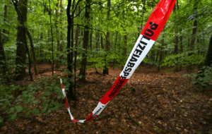 In diesem Wald bei Kist wurde der Entführte aufgefunden. In diesem Wald bei Kist wurde der Entführte aufgefunden.