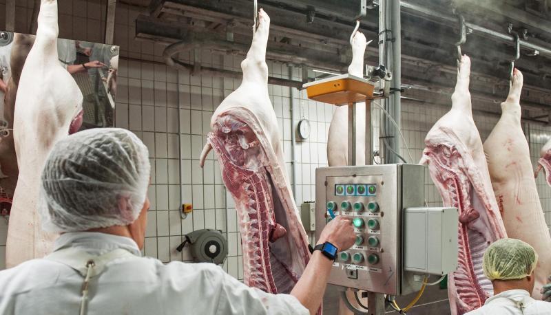 Das Bundeskabinett berät über den Arbeitsschutz in Schlachthöfen. Das Bundeskabinett berät über den Arbeitsschutz in Schlachthöfen.