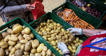 In einer Berliner Ausgabestelle verteilt eine ehrenamtliche Mitarbeiterin Kartoffeln. Angesichts steigender Lebensmittelpreise, höherer Energiekosten und des Ukraine-Kriegs stehen Tafeln bundesweit immer mehr unter Druck.