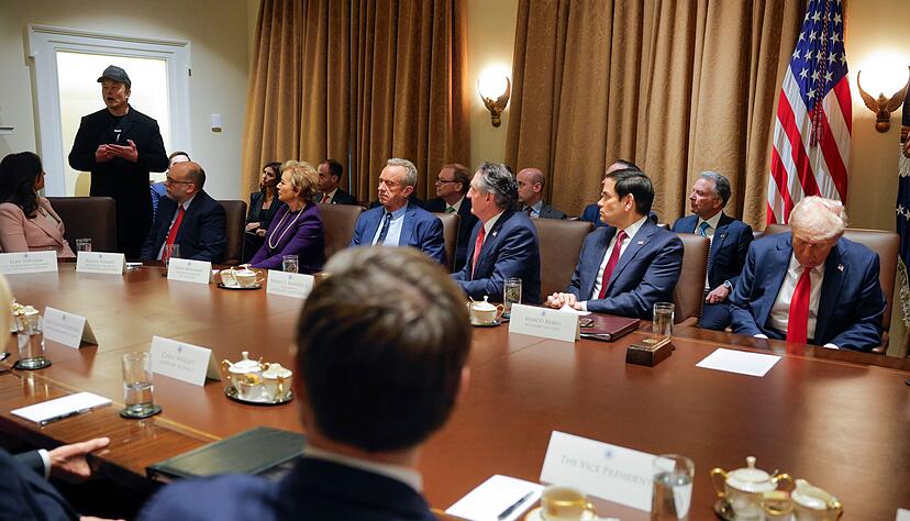 Die Rolle von Elon Musk in der US-Regierung ist unklar - aber im Wei&szlig;en Haus darf er vor Trumps Kabinett &uuml;ber Einsparungsma&szlig;nahmen sprechen.