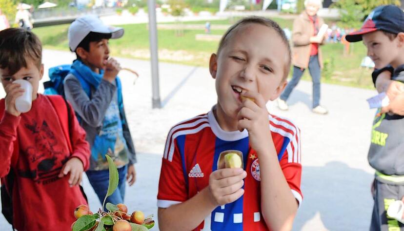 Dem siebenjährigen Luca von der Grundschule Möckmühl schmecken Gabi Gieblers Äpfel besonders gut. Die Gemeinde Zweiflingen präsentiert sich auf der Landesgartenschau in ihrer ganzen Vielfalt.Foto: Torsten Büchele Dem siebenjährigen Luca von der Grundschule Möckmühl schmecken Gabi Gieblers Äpfel besonders gut. Die Gemeinde Zweiflingen präsentiert sich auf der Landesgartenschau in ihrer ganzen Vielfalt.Foto: Torsten Büchele