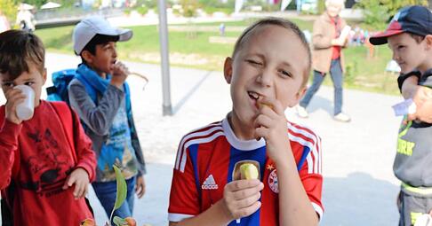 Dem siebenj&auml;hrigen Luca von der Grundschule M&ouml;ckm&uuml;hl schmecken Gabi Gieblers &Auml;pfel besonders gut. Die Gemeinde Zweiflingen pr&auml;sentiert sich auf der Landesgartenschau in ihrer ganzen Vielfalt.Foto: Torsten B&uuml;chele