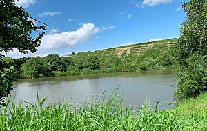 Am nördlichsten Punkt der Strecke fließt der Neckar direkt neben dem Wanderweg. Immer wieder ist der Blick frei Richtung Kirchheimer Weinterrasse.
Fotos: Nils Buchmann Am nördlichsten Punkt der Strecke fließt der Neckar direkt neben dem Wanderweg. Immer wieder ist der Blick frei Richtung Kirchheimer Weinterrasse.
Fotos: Nils Buchmann