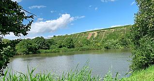 Am nördlichsten Punkt der Strecke fließt der Neckar direkt neben dem Wanderweg. Immer wieder ist der Blick frei Richtung Kirchheimer Weinterrasse.
Fotos: Nils Buchmann Am nördlichsten Punkt der Strecke fließt der Neckar direkt neben dem Wanderweg. Immer wieder ist der Blick frei Richtung Kirchheimer Weinterrasse.
Fotos: Nils Buchmann