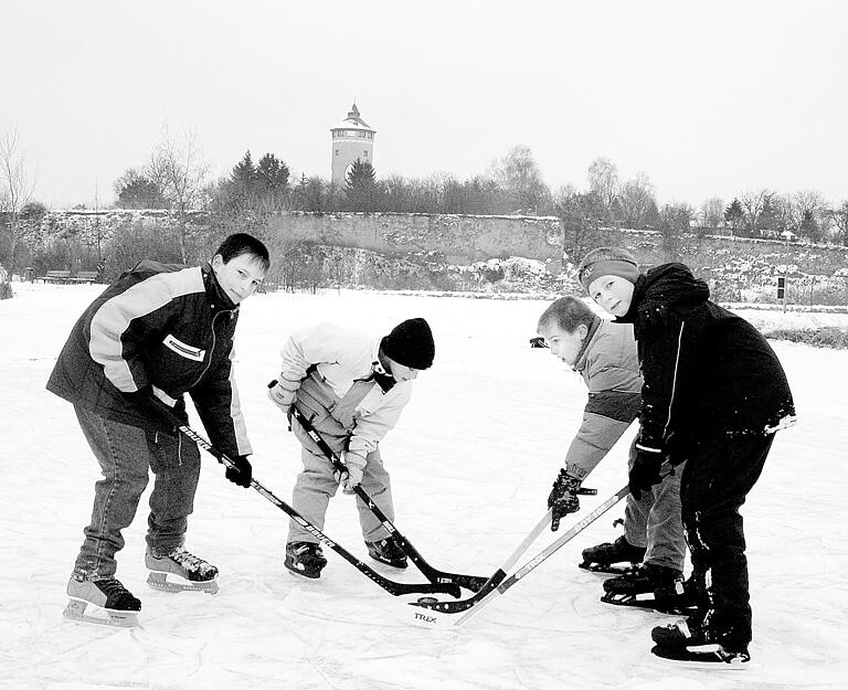 Gutes Schlittern gilt weiterhin auf den Heilbronner Seen. Wie hier im B&ouml;ckinger Ziegeleipark ist das Eis noch ausreichend dick. Aufnahme aus dem Jahr 2002.