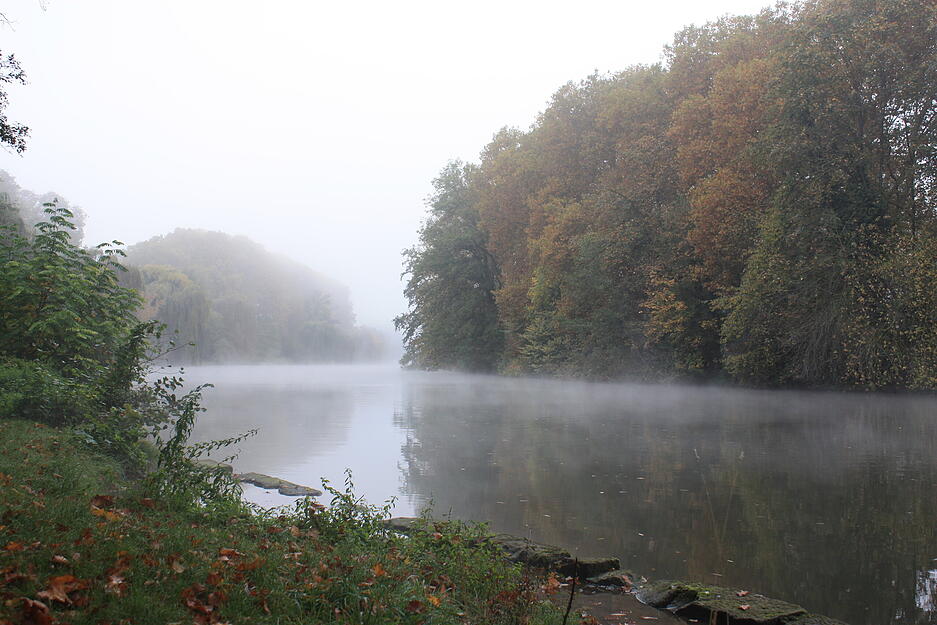 Ein morgendliches Idyll mitten in der Heilbronner Innenstadt.