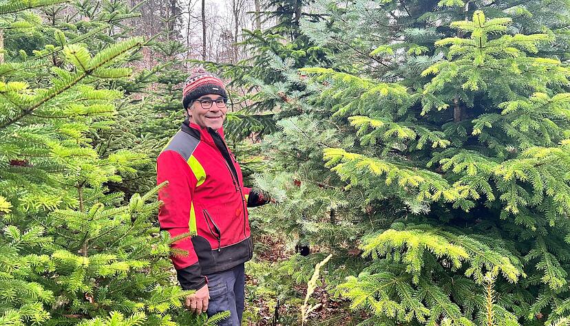 Der Bad Rappenauer Revierleiter Claus Schall verkauft an diesem Samstag auf der Gemarkung Tannenkopf bei Grombach wieder Christb&auml;ume. Morgens stehen er und sein Team am M&uuml;hltalsee-Parkplatz in Zimmerhof.