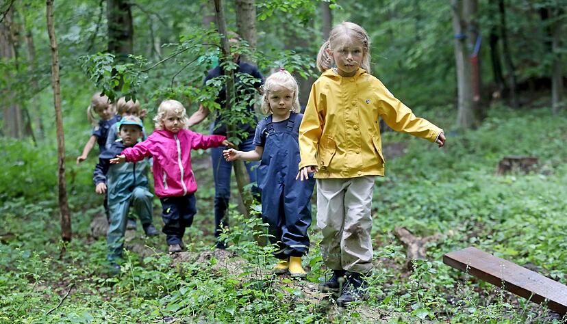 Im Weinsberger Waldkindergarten gibt es viel zu entdecken. Foto: Archiv